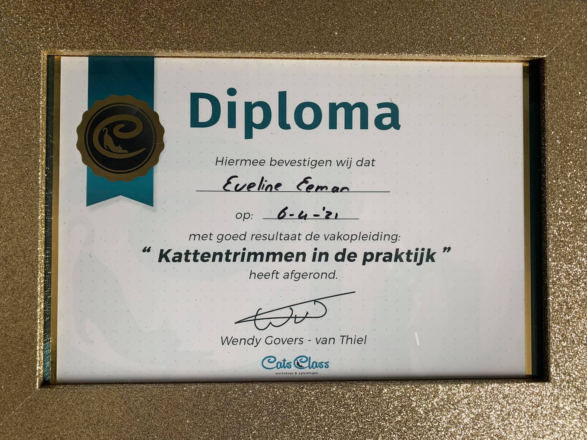 Diploma